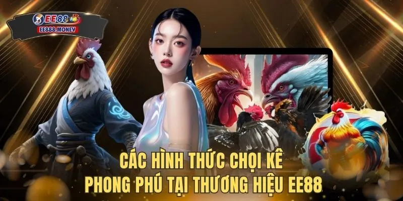 Đá Gà Trực Tuyến - Đấu Trường Tranh Tài Kịch Tính Đỉnh Cao 3 Các hình thức chọi kê phong phú tại thương hiệu EE88