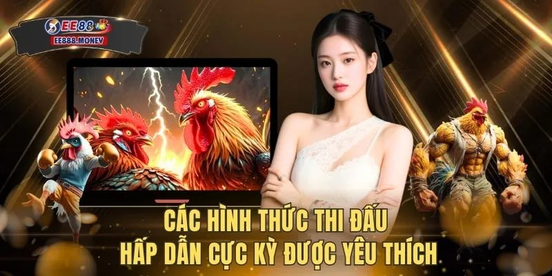 Đá gà EE88 2 Các hình thức thi đấu hấp dẫn cực kỳ được yêu thích
