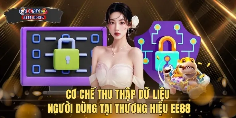 Chính sách bảo mật EE88 2 Cơ chế thu thập dữ liệu người dùng tại thương hiệu EE88