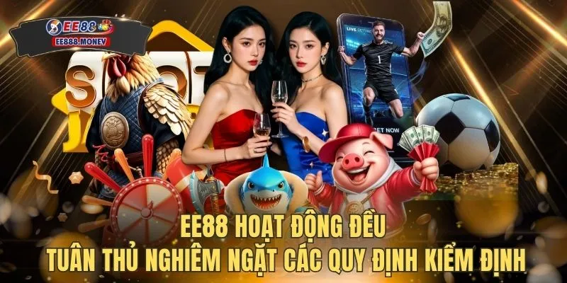 EE88 hoạt động đều tuân thủ nghiêm ngặt các quy định kiểm định